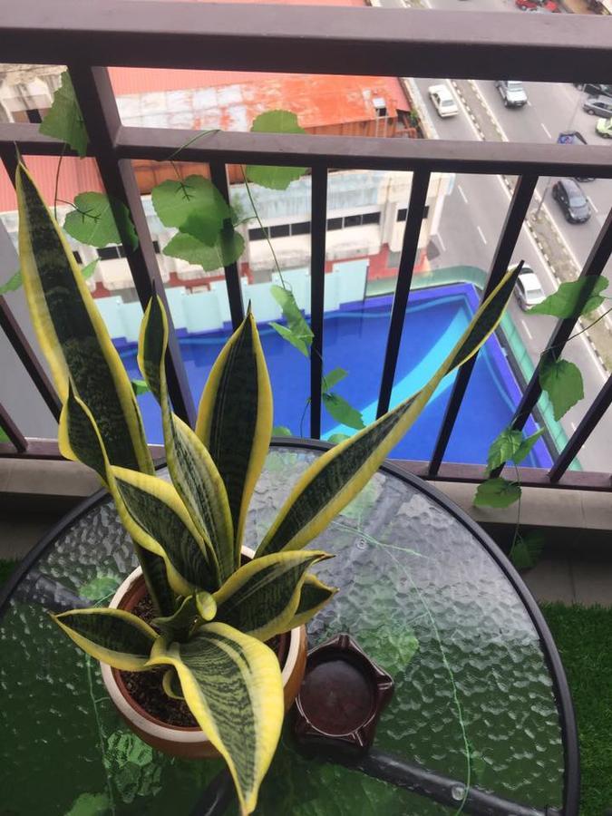 Pangsapuri Sky Garden Majestic
